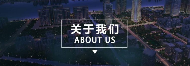 关于联盟